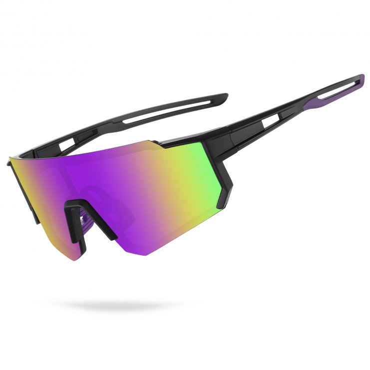 3078 Sunglasses Purple